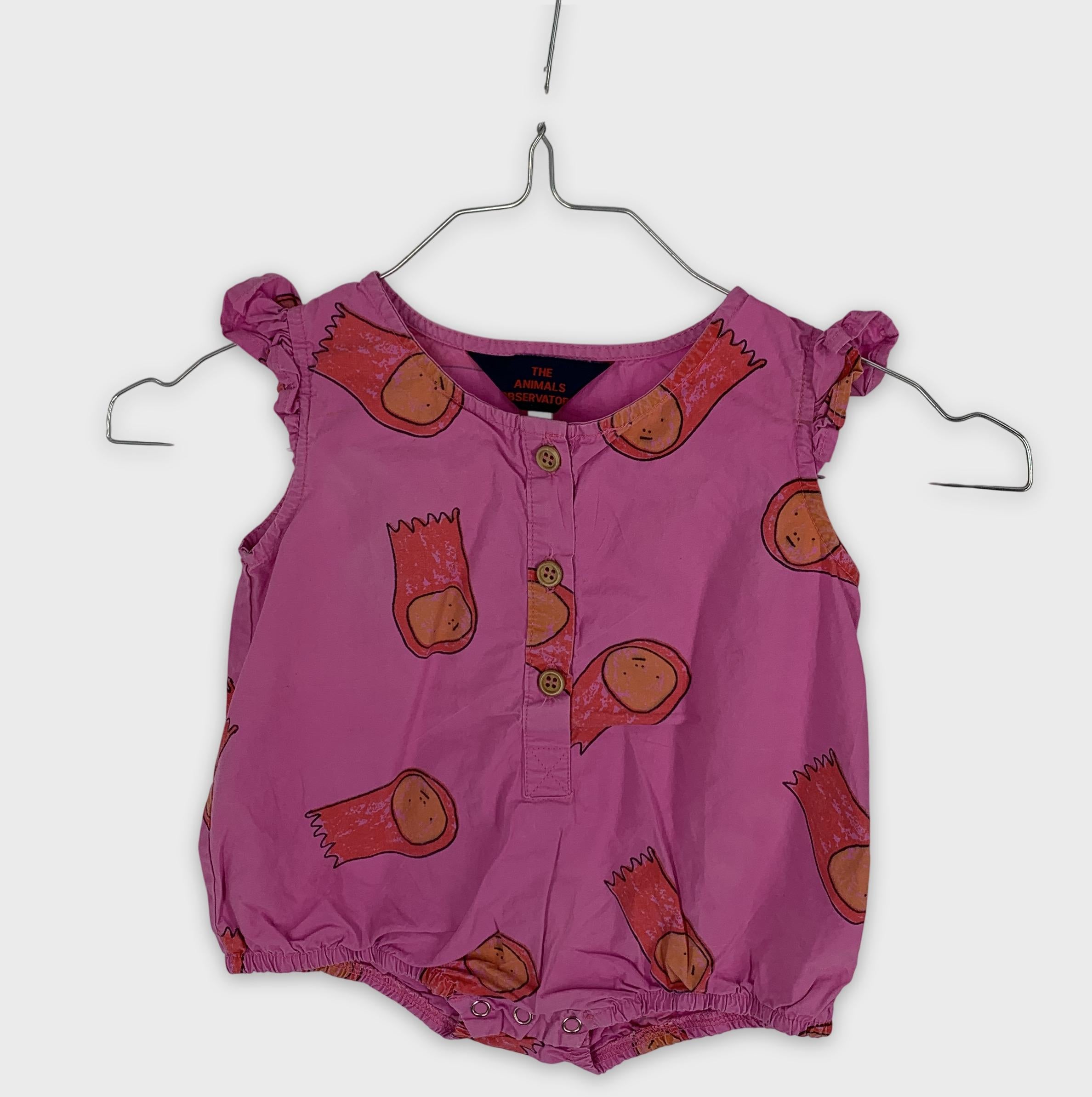 0-The Animals Observatory - Body - 6