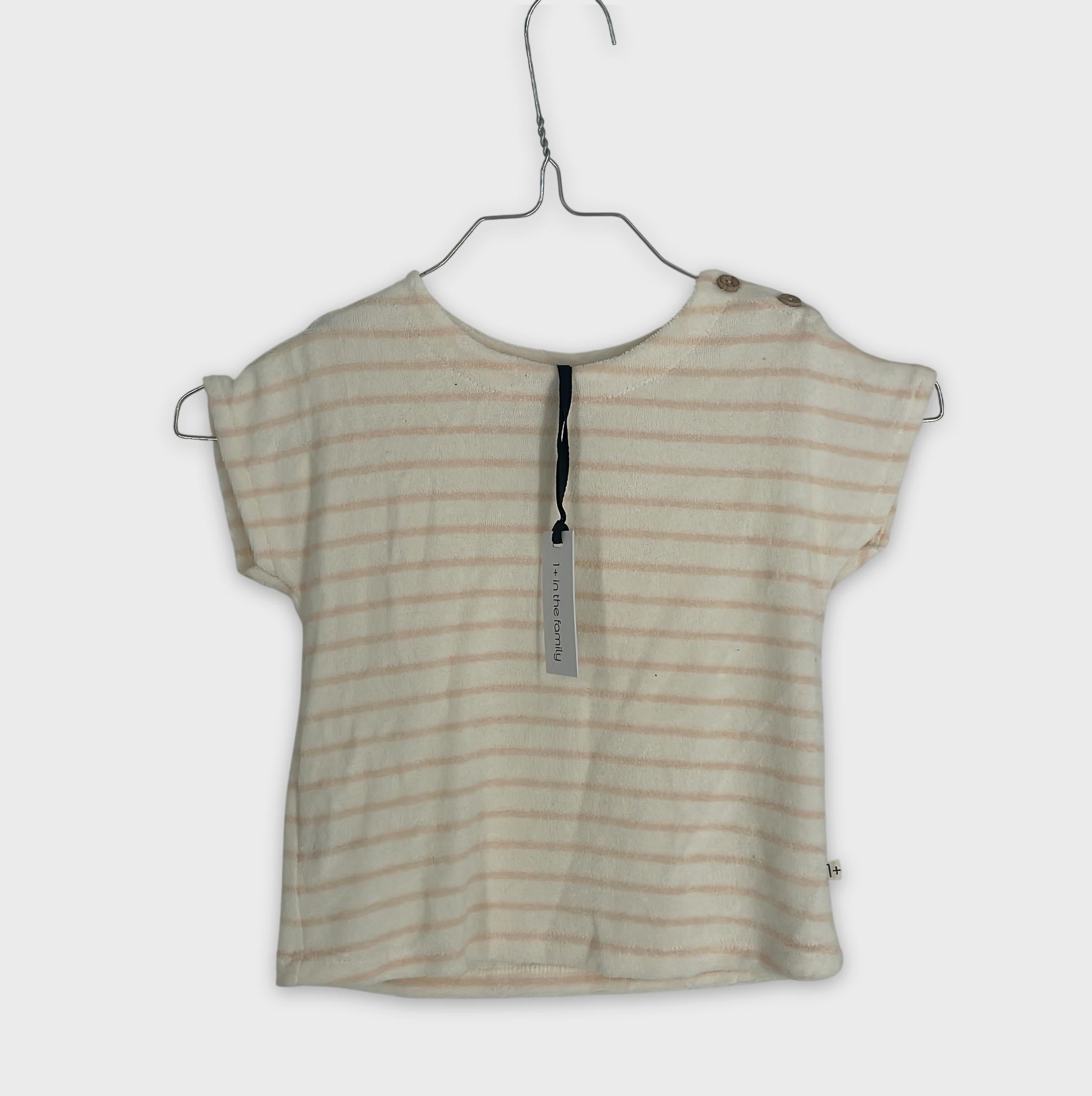 0-1+ in the family - Top - 24m