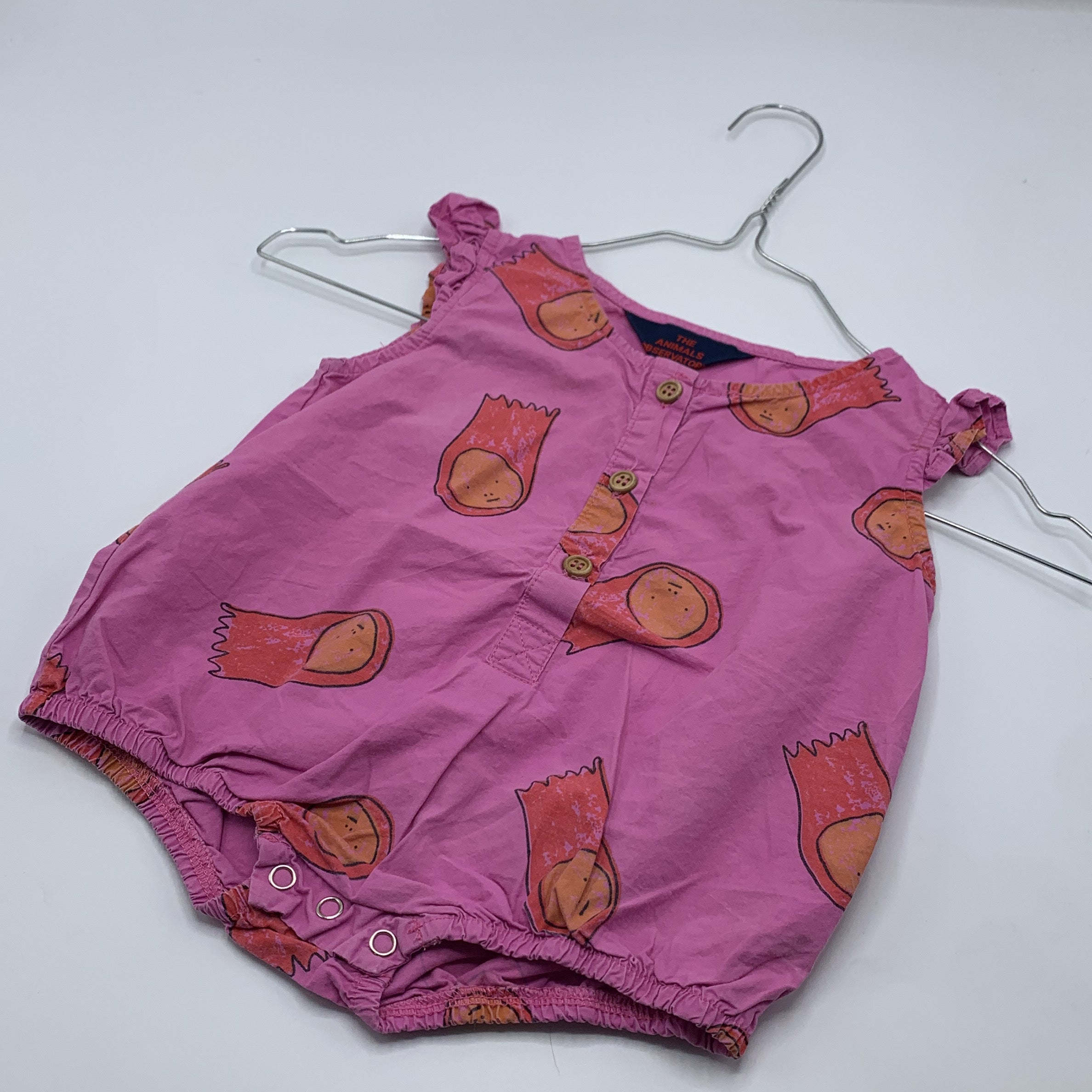 1-The Animals Observatory - Body - 6