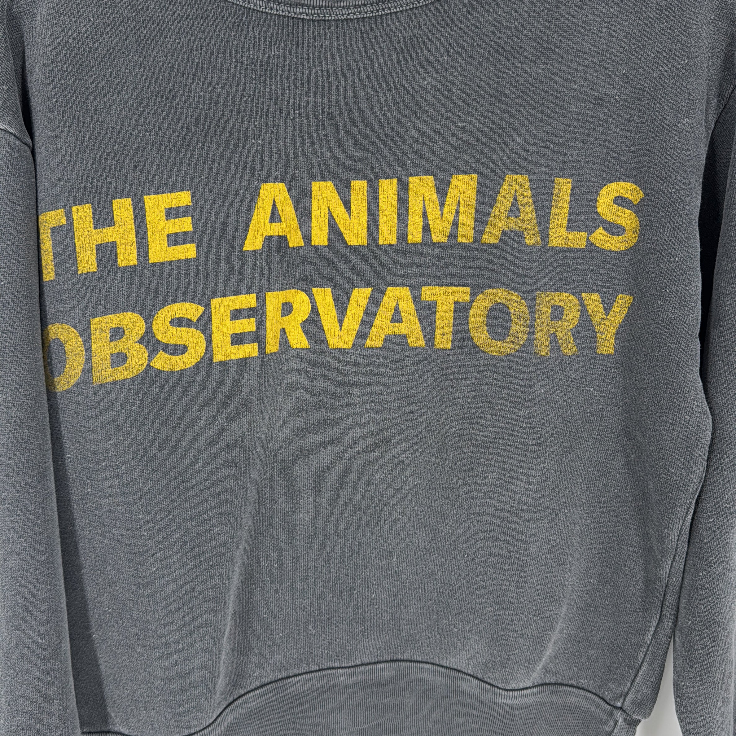 1-The Animals Observatory - Pull - 6 ans