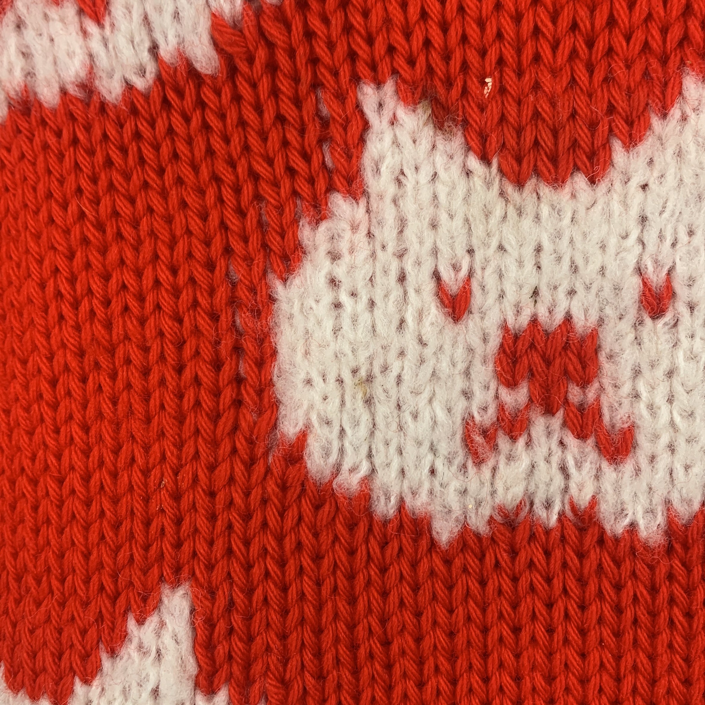 2-The Animals Observatory - Pull - 4