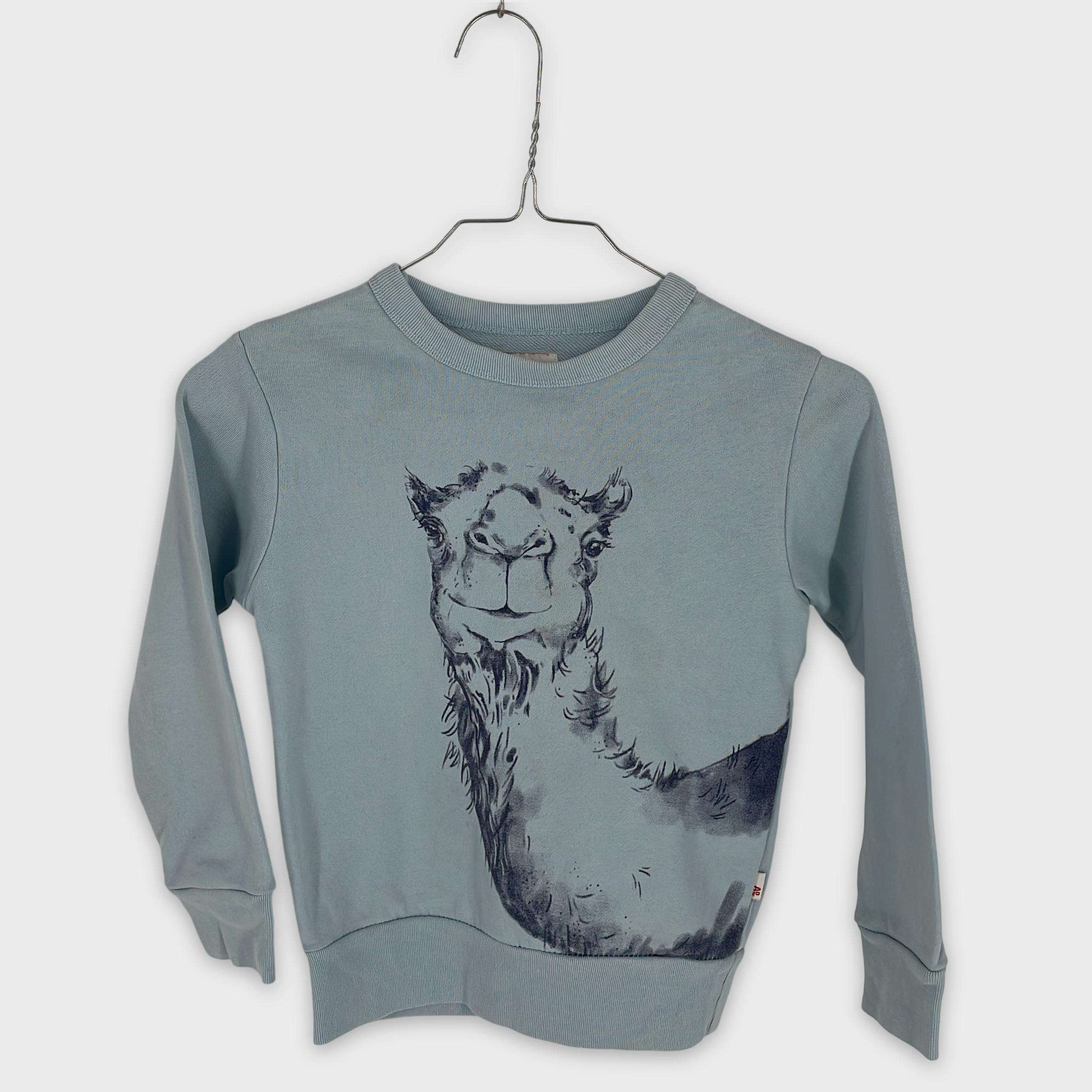 0-Sweat American Outfitters 6 ans
