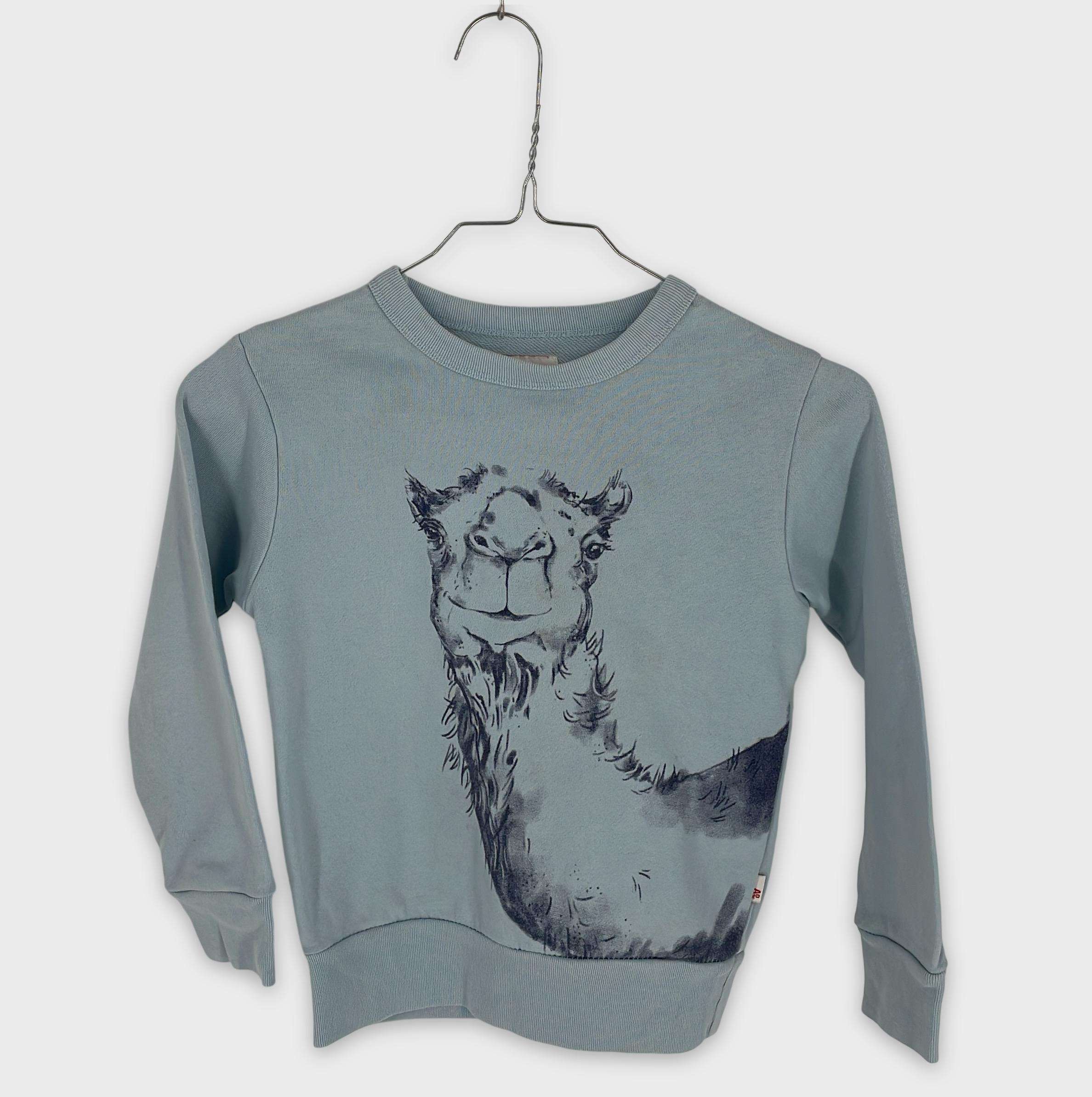 0-Sweat American Outfitters 6 ans