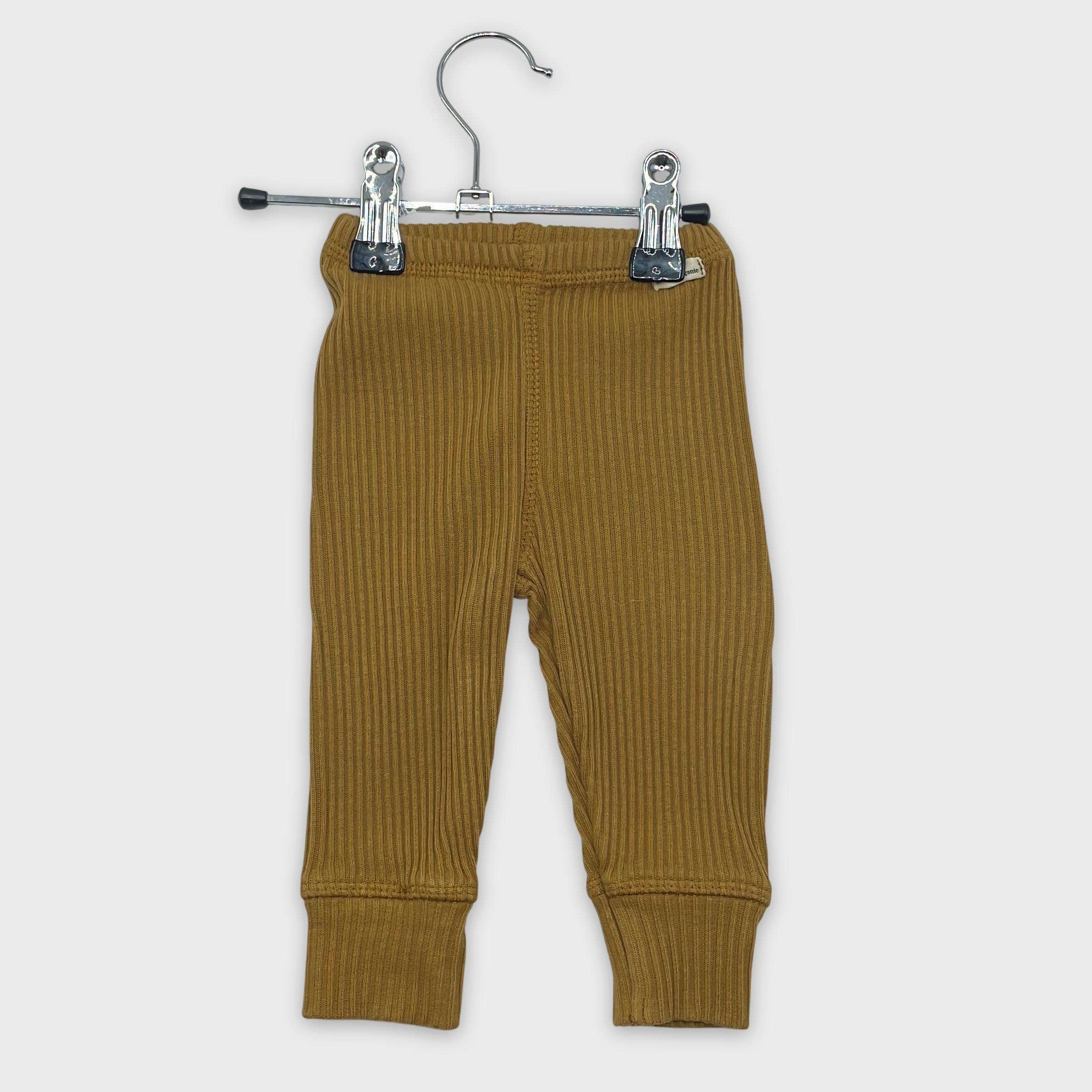 0-Legging Poudre Organic 1 mois
