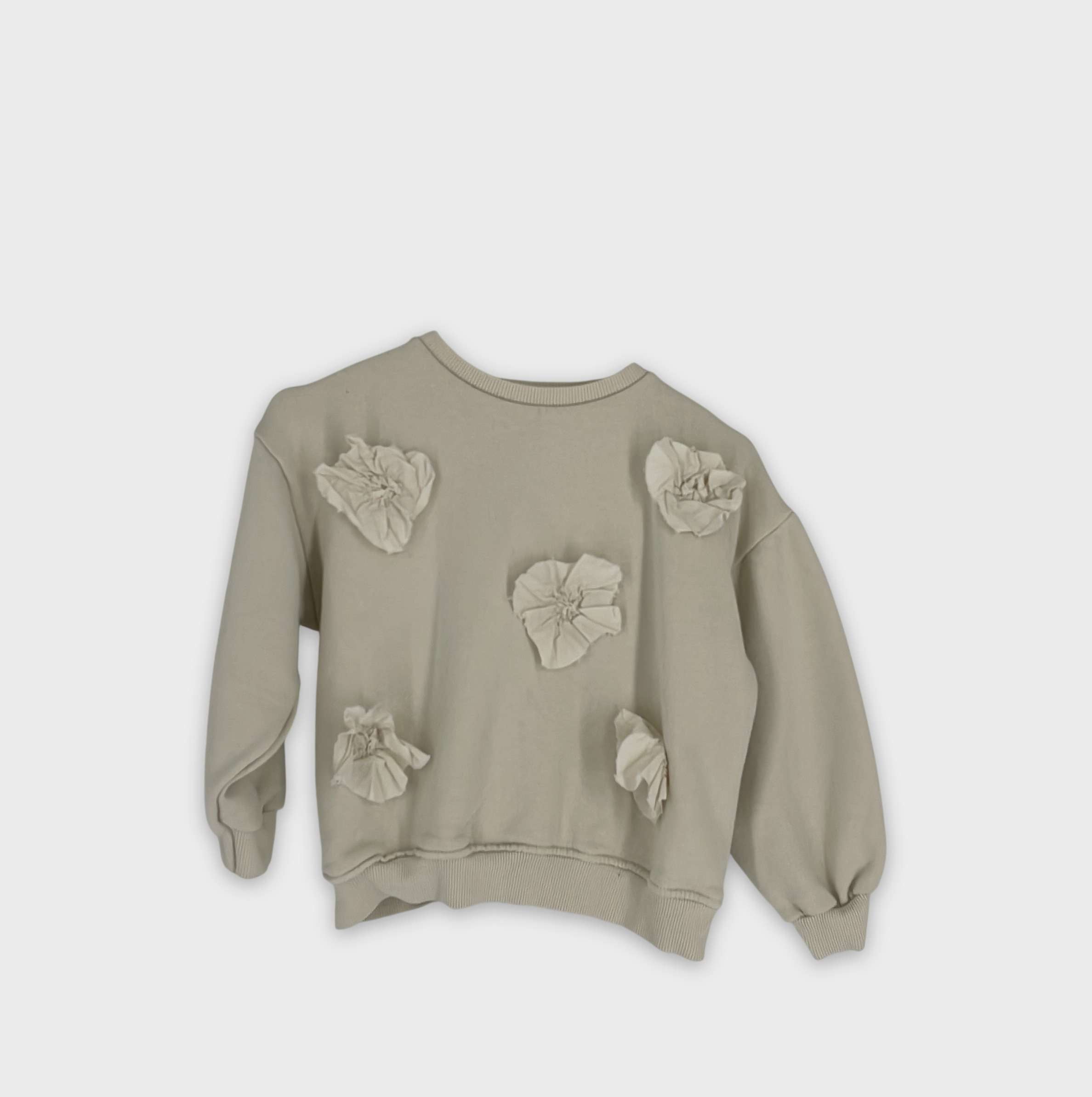0-Sweat Zara Kids 5-6 Ans