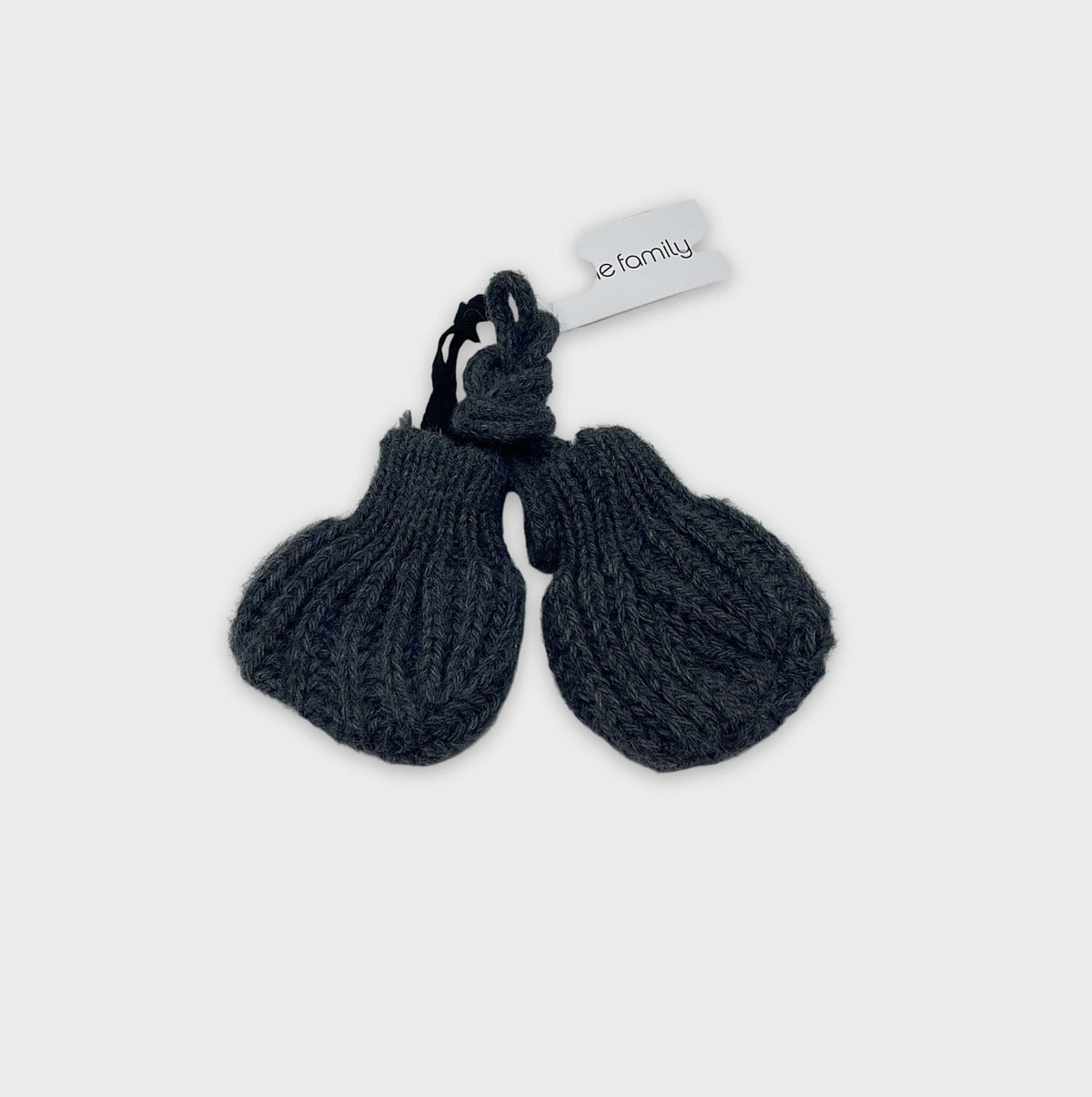 0-Gants/mouffles 1+ In The Family
