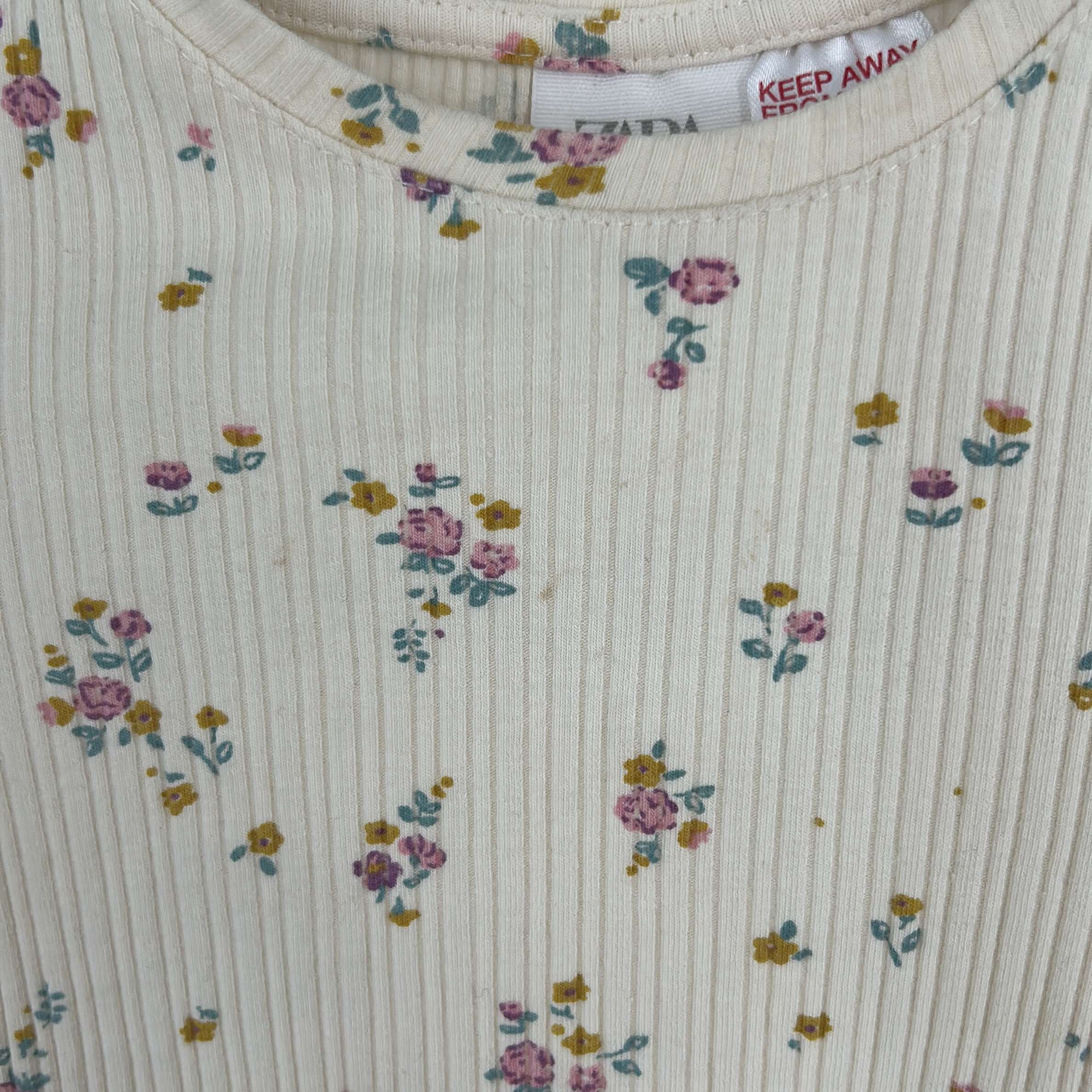 2-T-shirt manches longues Zara Baby 24 mois