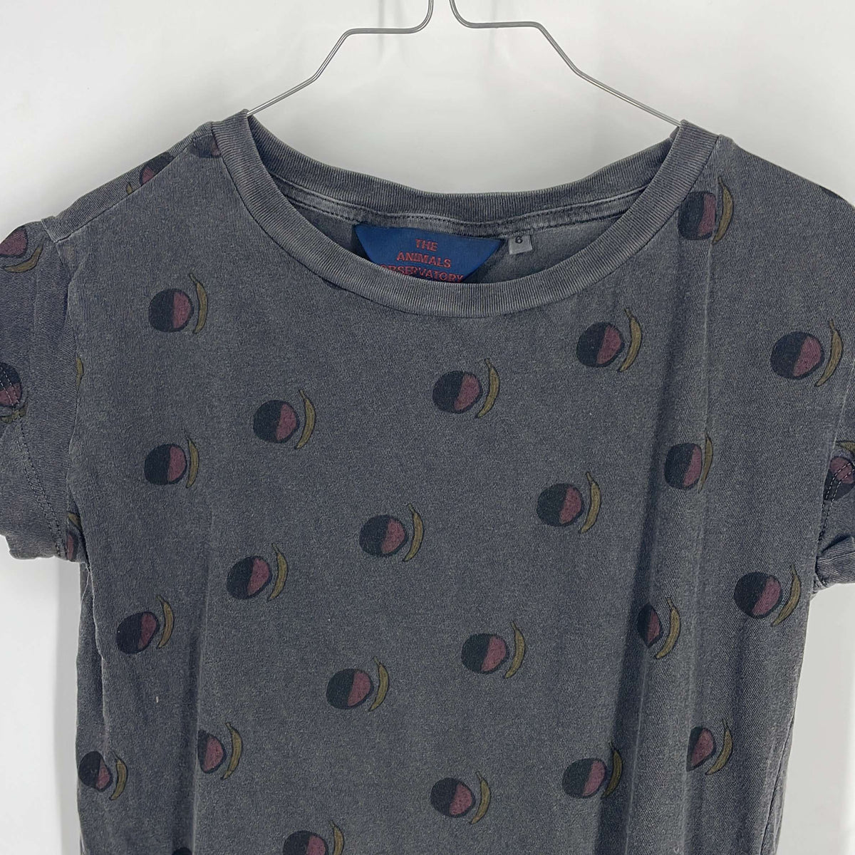 1-T-shirt manches courtes The Animals Observatory 6 ans