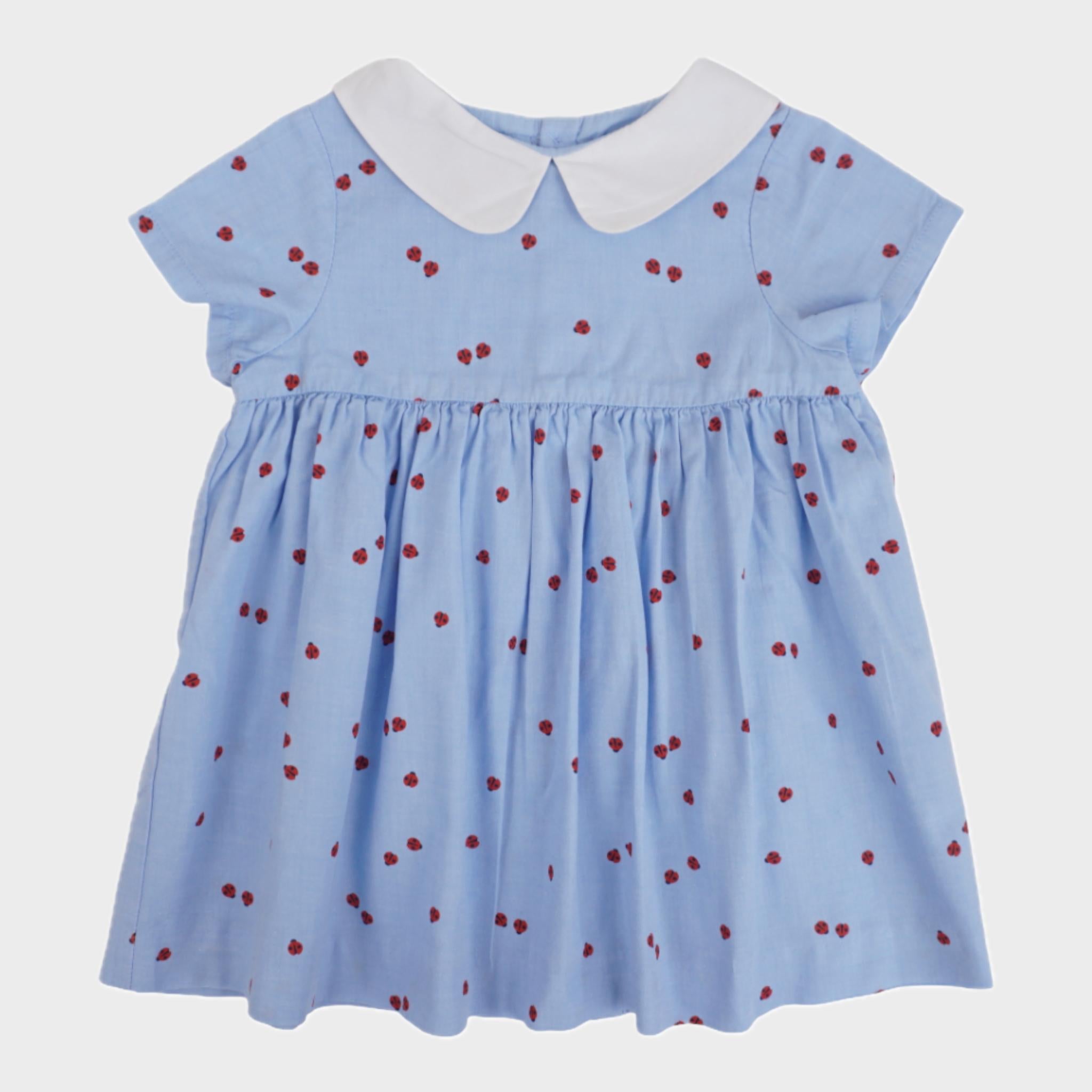 Robe Bleu - 12 mois