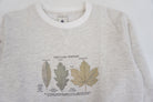 Sweat Gris - 12 ans