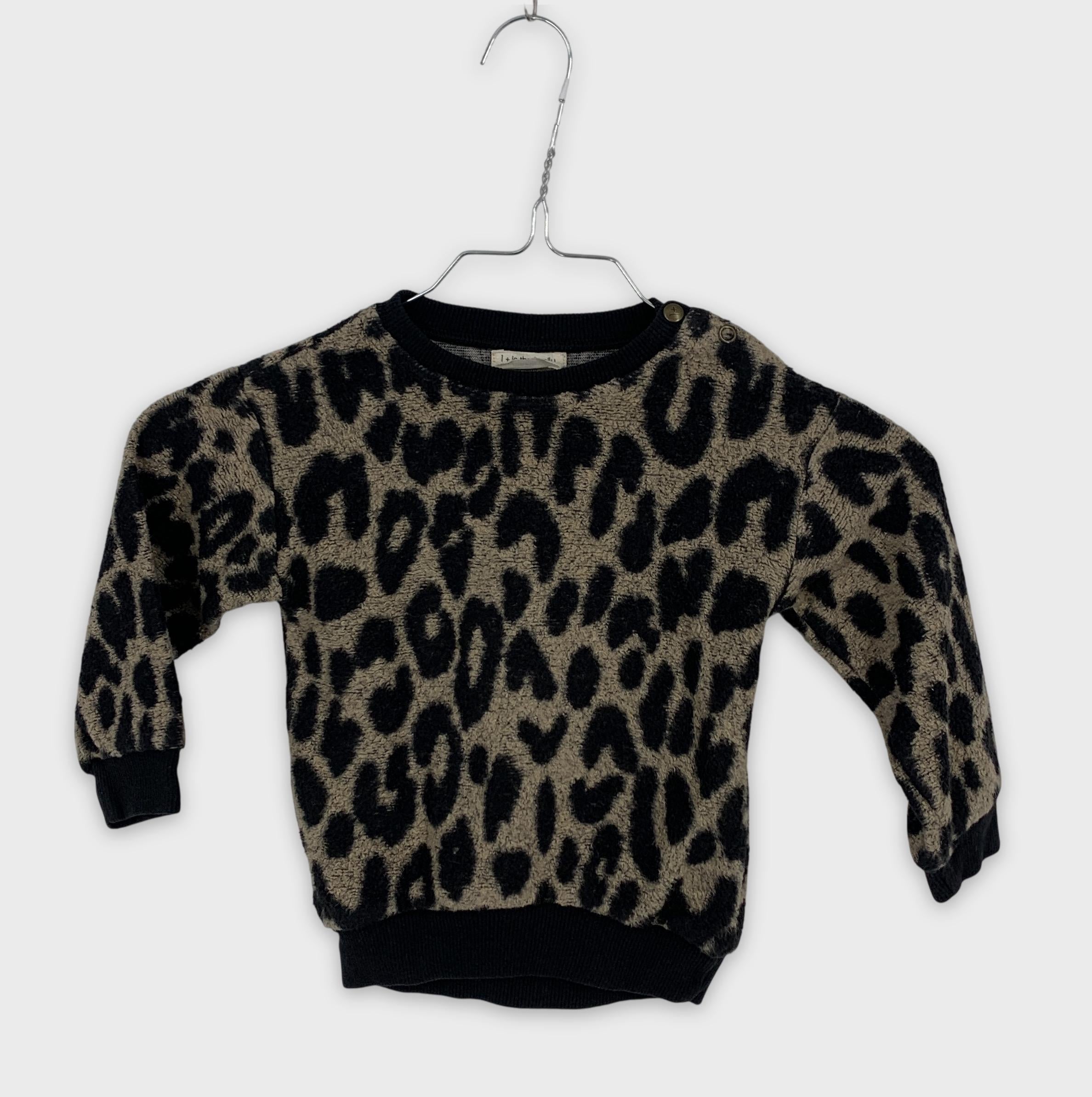 0-1 + in the family - Pull - 18m