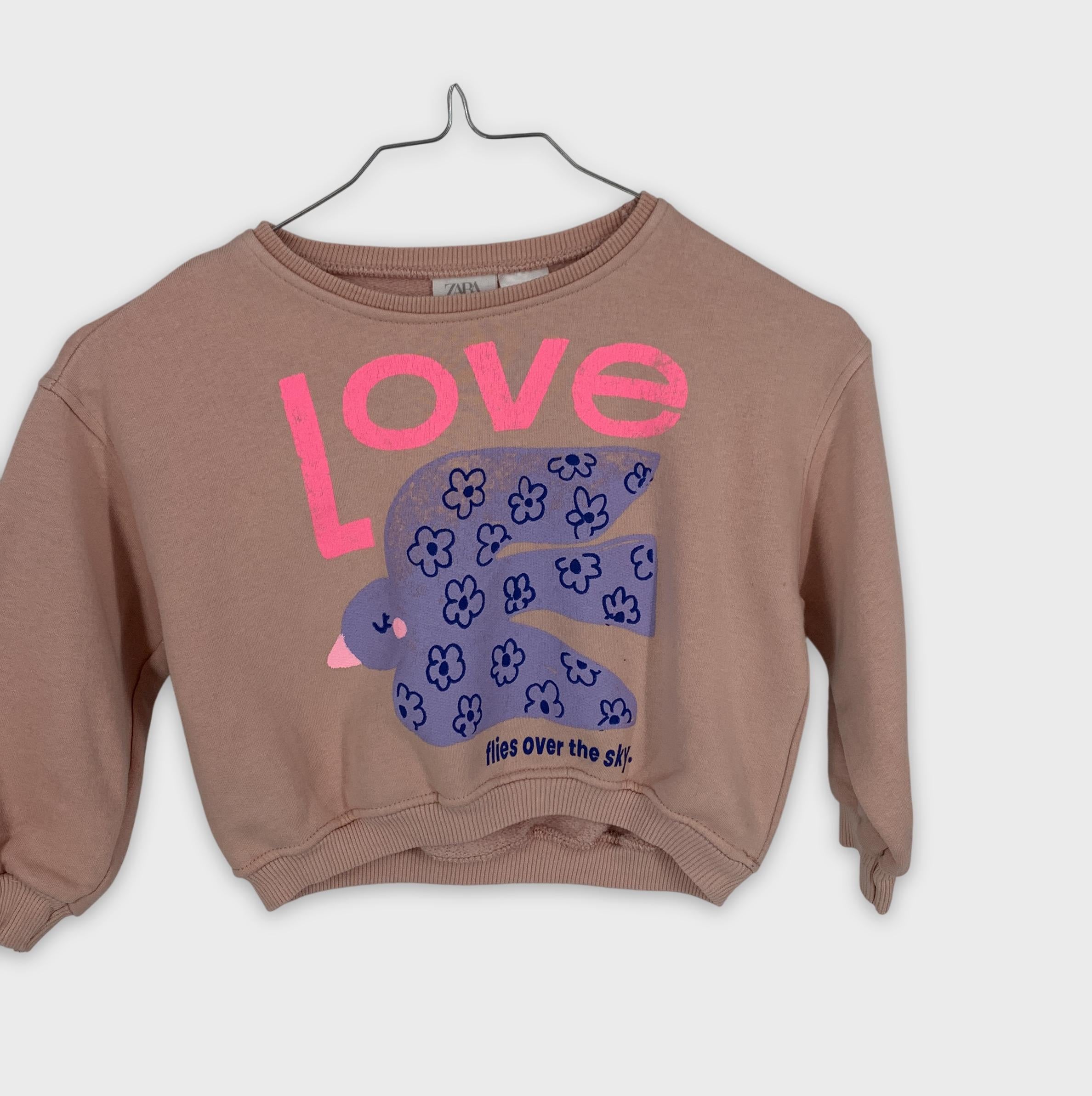 0-Zara - Sweat- 2-3 ans