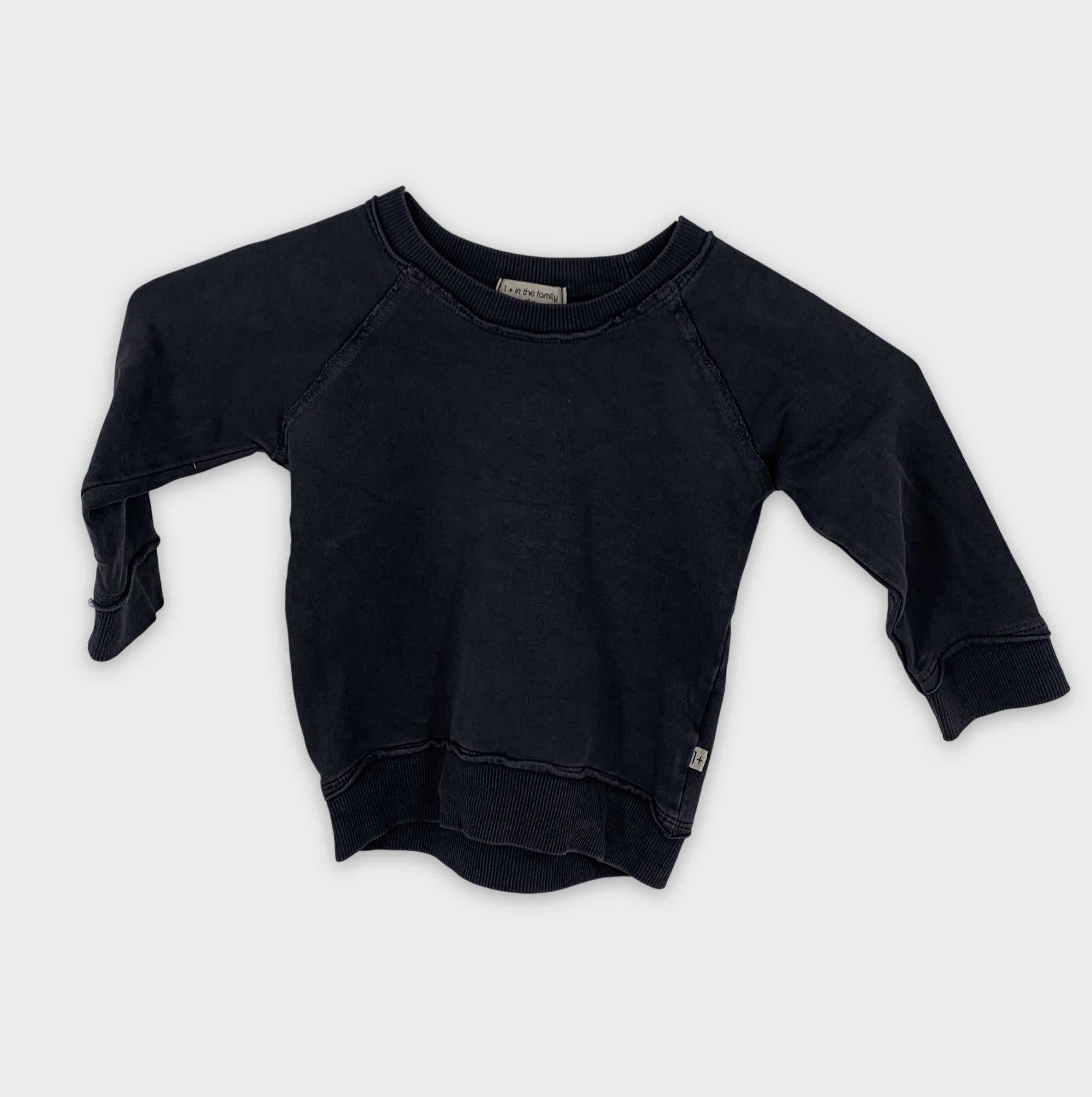 0-1+ in the family - Pull - 18m