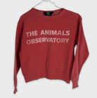 0-The Animals Observatory - Sweat - 8