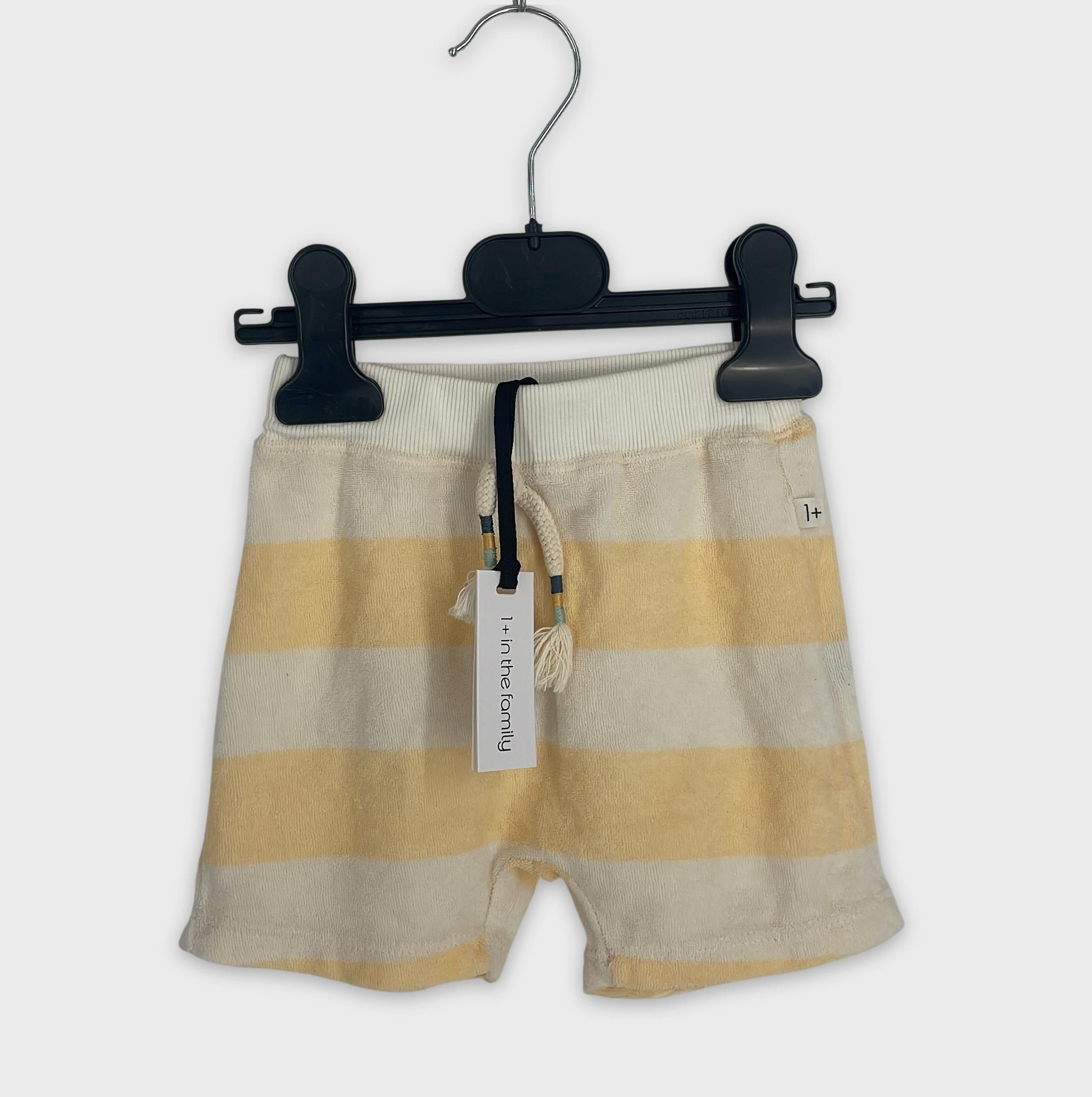 0-1+ in the family - Short - 12m