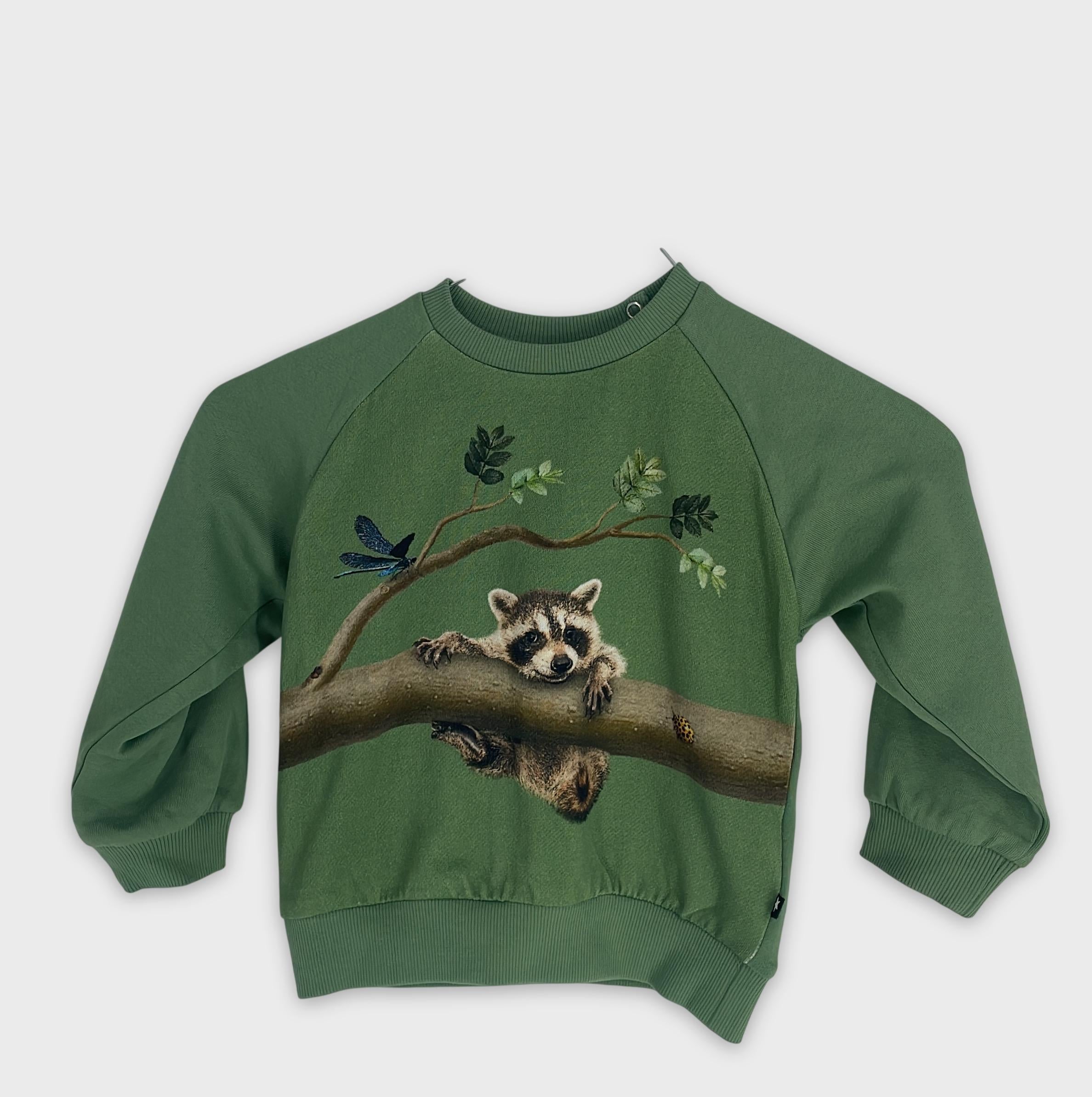 0-Mini Rodini - Sweatshirt - Taille enfant