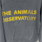1-The Animals Observatory - Pull - 6 ans