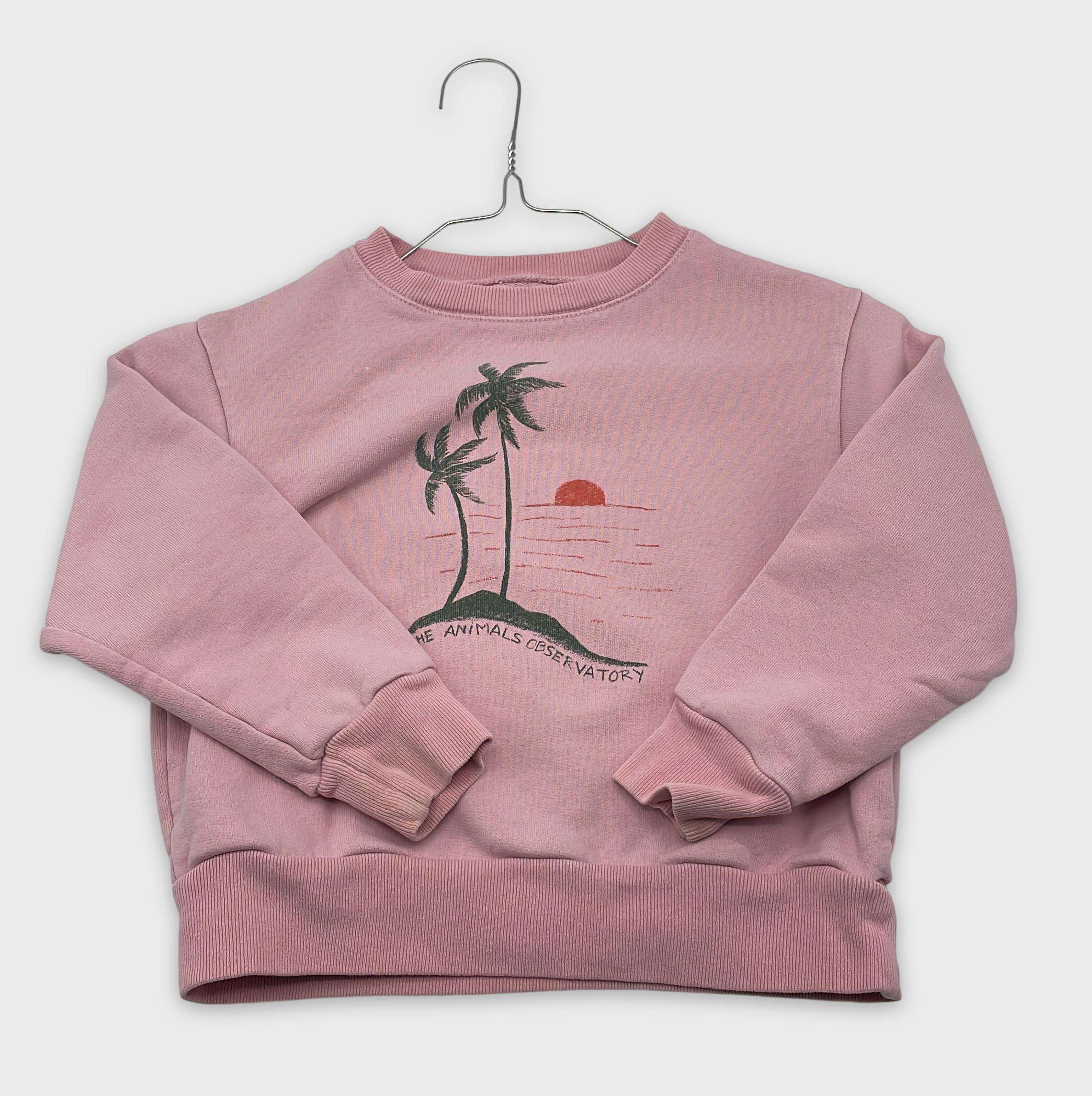 0-Sweat The Animals Observatory 4 ans