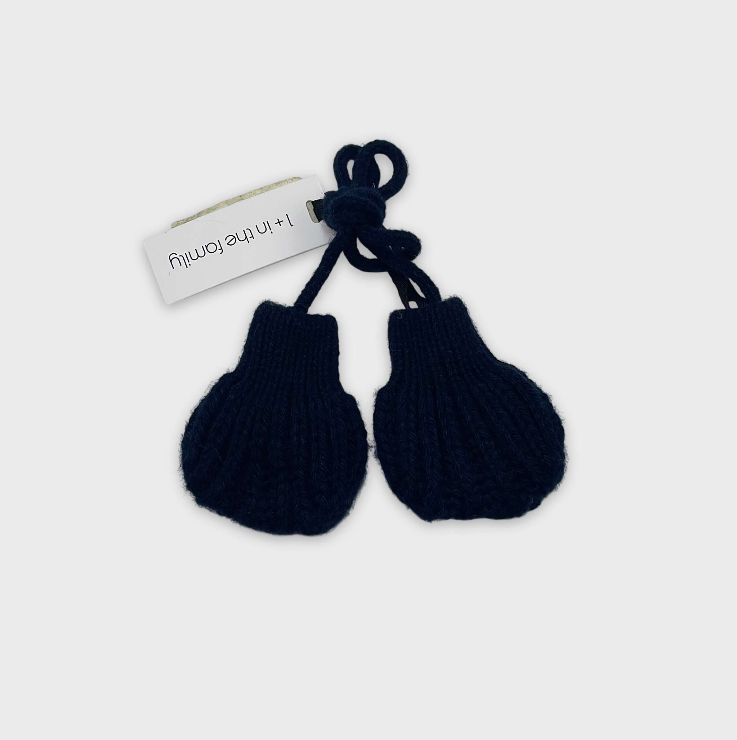 0-Gants/mouffles 1+ In The Family