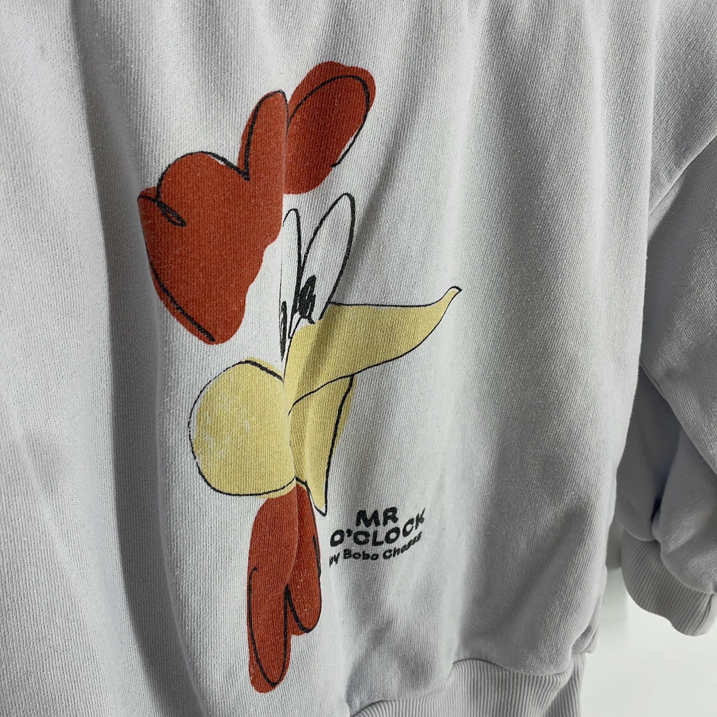 1-Sweat Bobo Choses 4-5 Ans