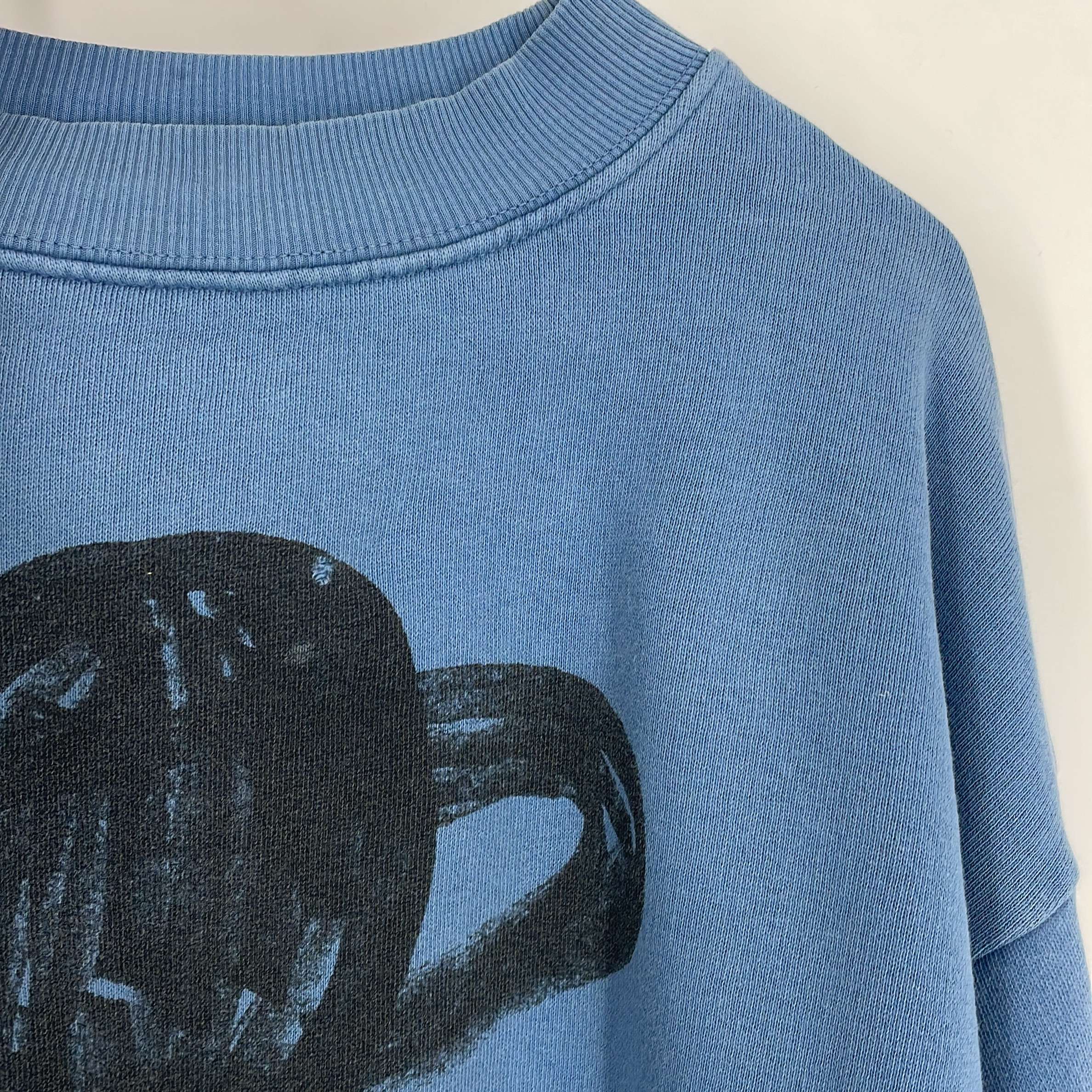 2-Sweat Bobo Choses 10-11 Ans