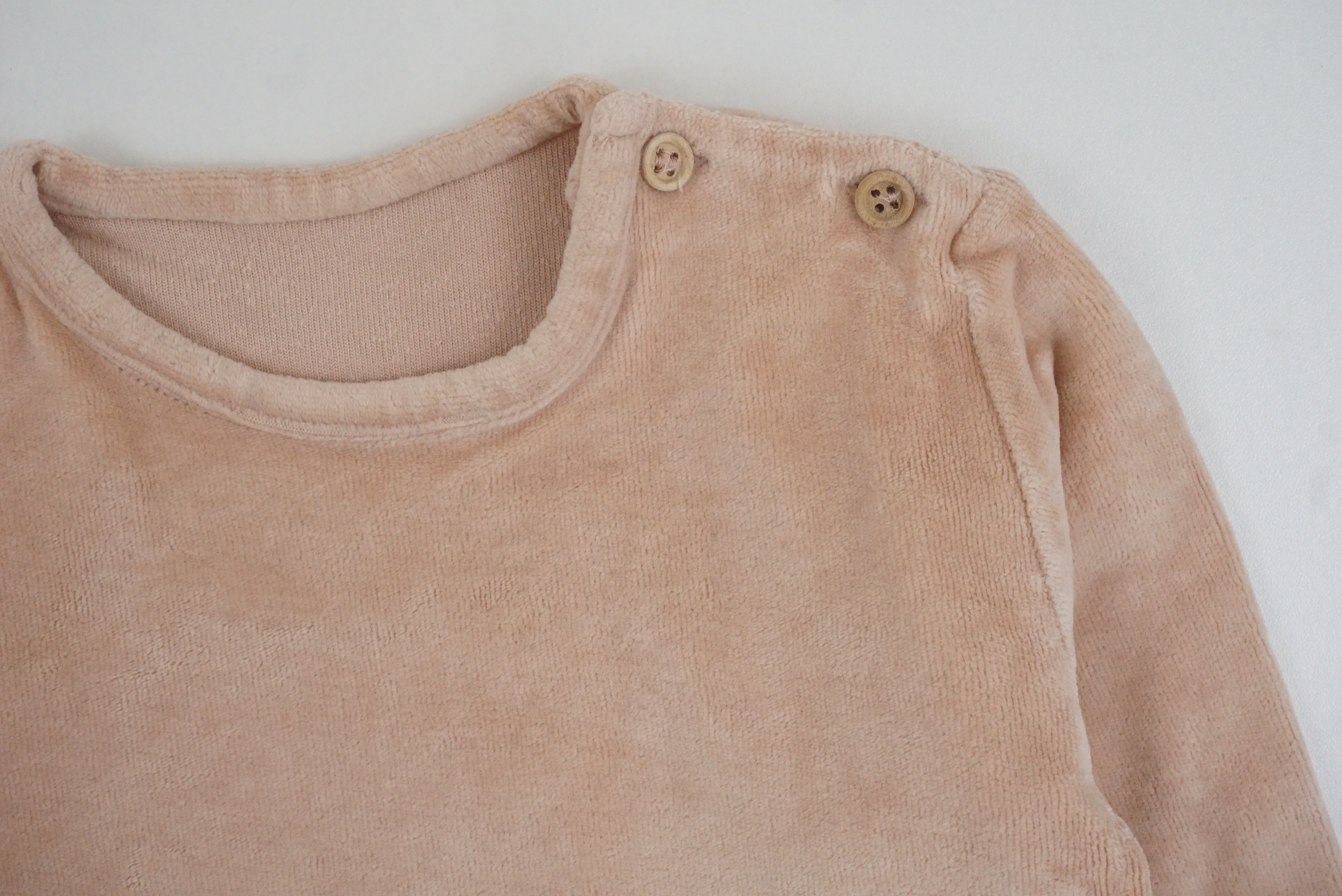 Top Rose - 6 mois