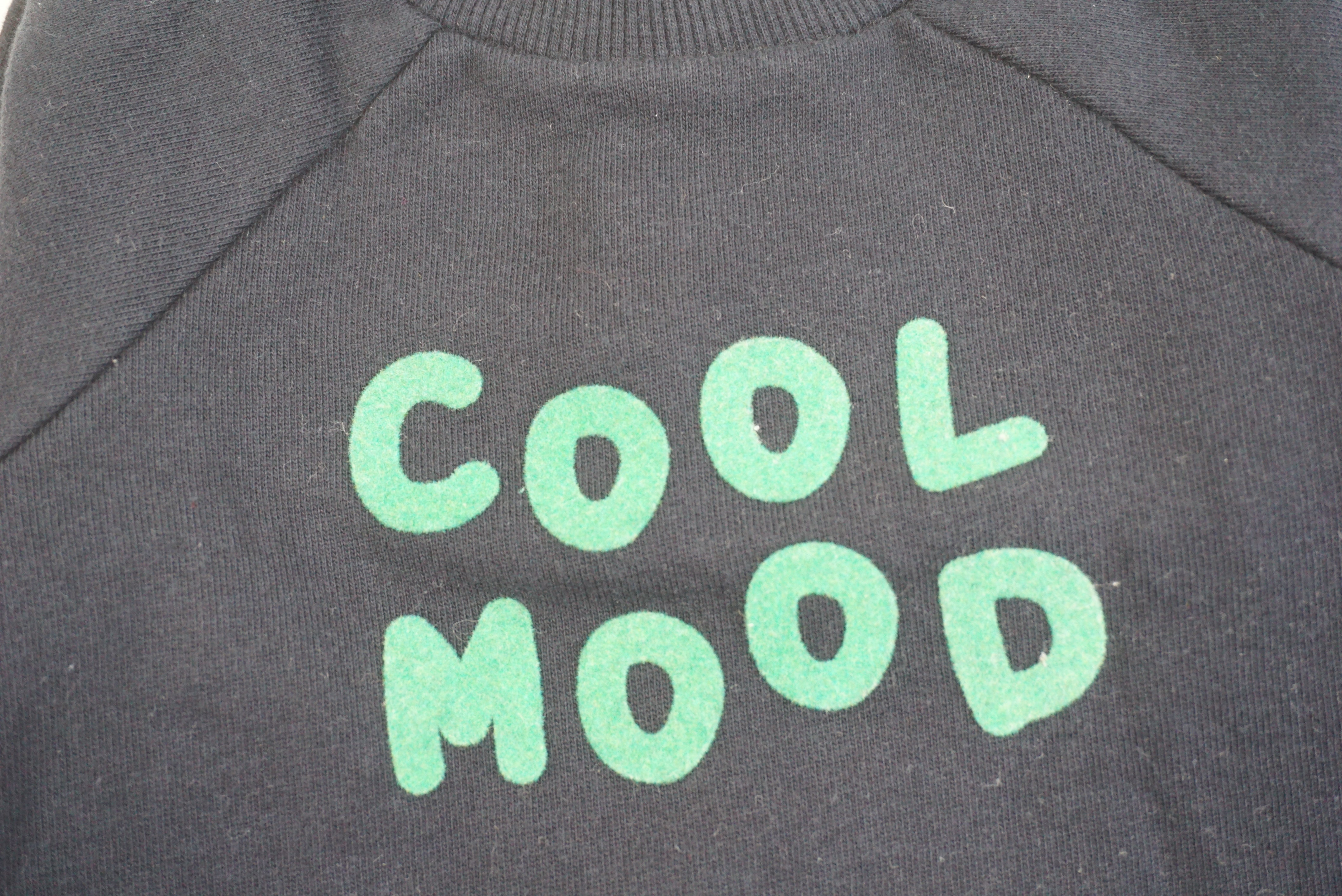 Sweat Bleu - 6 mois